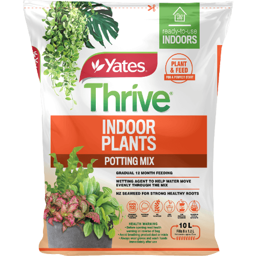 Yates Thrive Indoor Plants Potting Mix