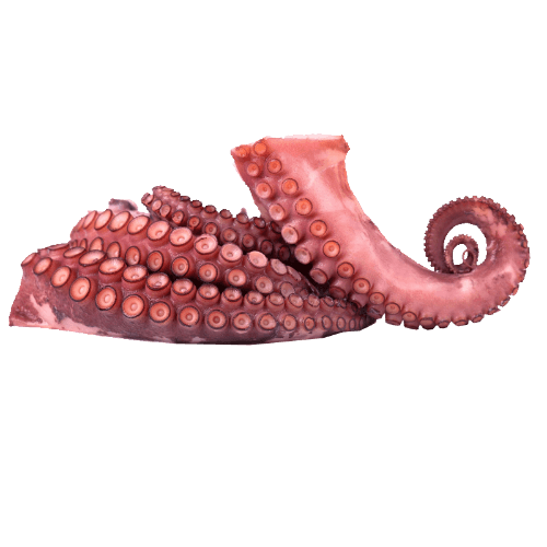 Sea Treasure Seafoods Octopus Tentacles