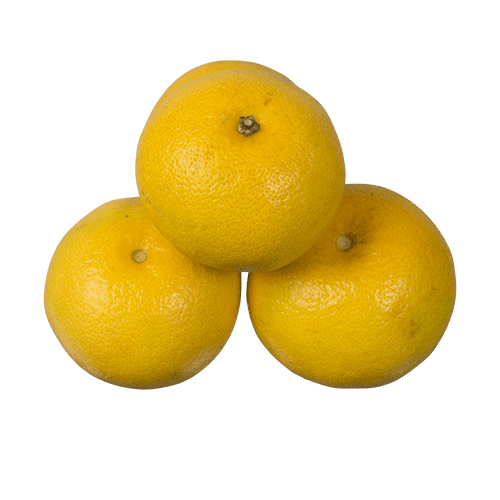 Grapefruit per kg