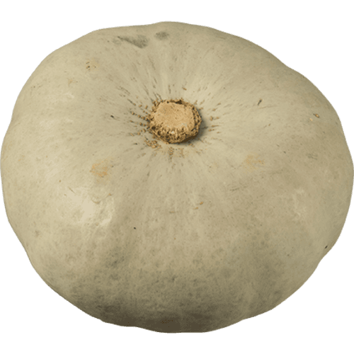 Whole Crown Pumpkin