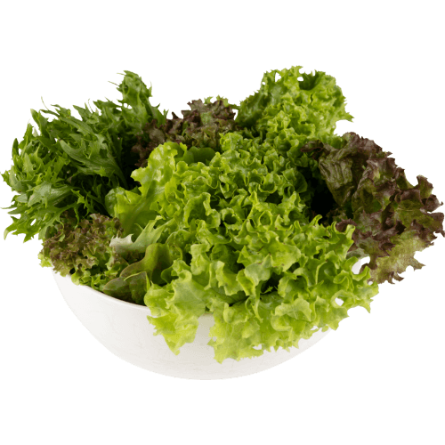 Mixed Lettuce Leaves 1 kg