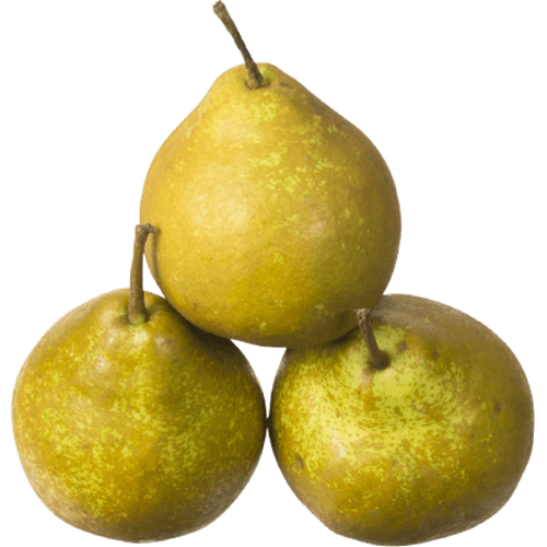 Winter Nelis Pears per kg