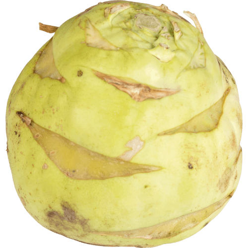 Kohlrabi