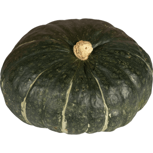 Whole Buttercup Pumpkin