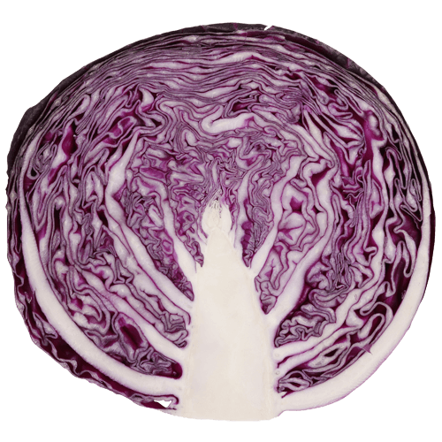 Red Half Cabbage
