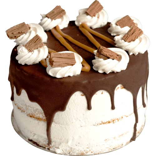 Salted Caramel Drip Cake