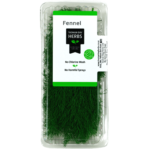 Tasman Bay Herbs Fennel 14 g