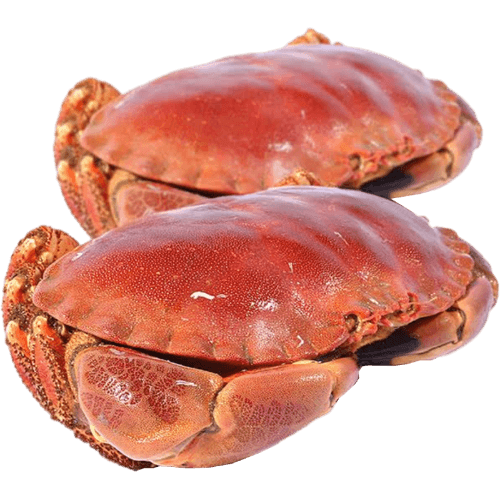 Nishin Whole Cooked Brown Crabs 10 kg
