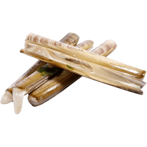 Nishin Whole Raw Razor Clams 1 kg
