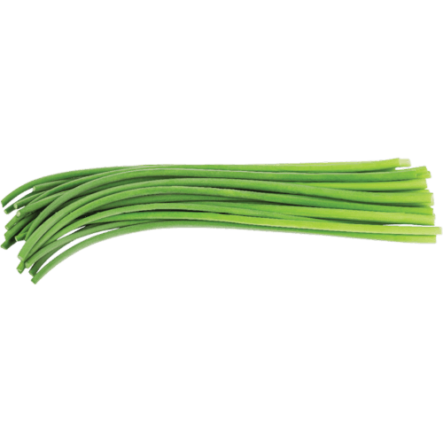 Garlic Shoots