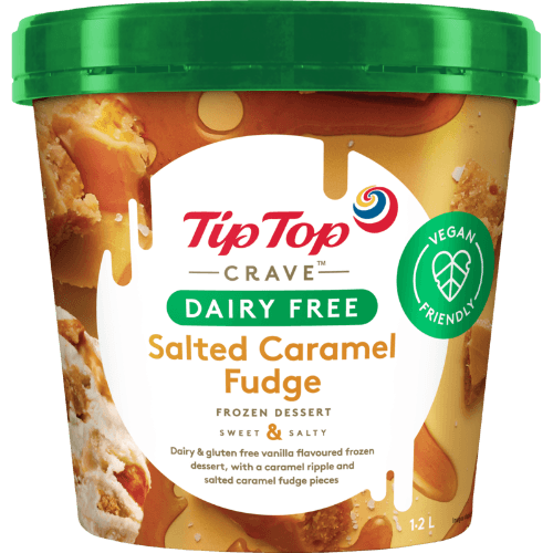 Tip Top Crave Dairy Free Salted Caramel Fudge Frozen Dessert