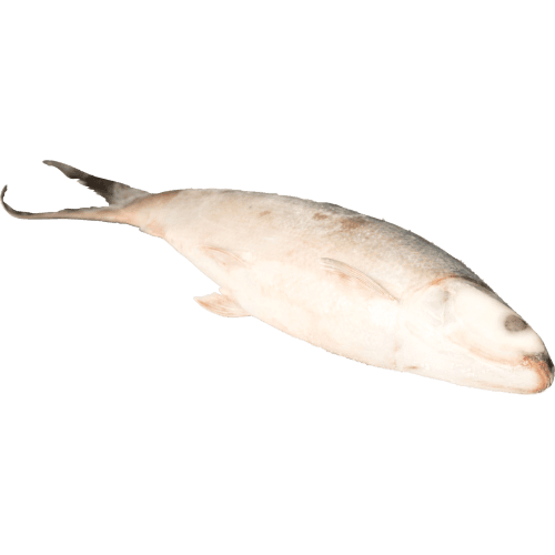 Whole Milk Fish per kg