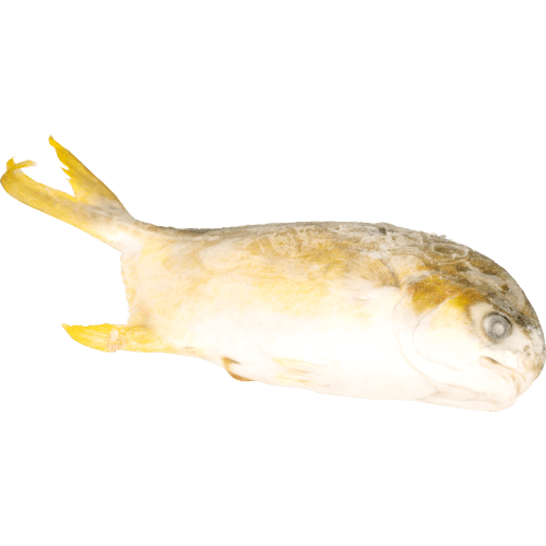 Prepacked Whole Golden Pompano