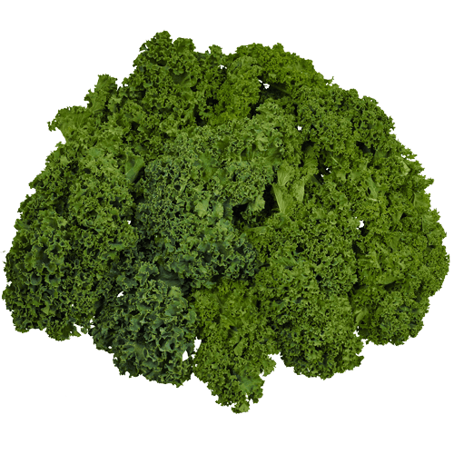 Green Kale