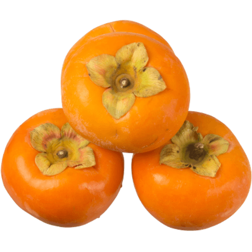 Persimmon
