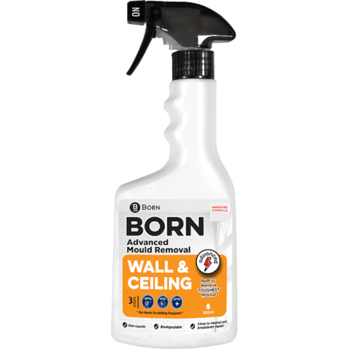 Born In New Zealand Wall & Ceiling Advanced Mould Removal