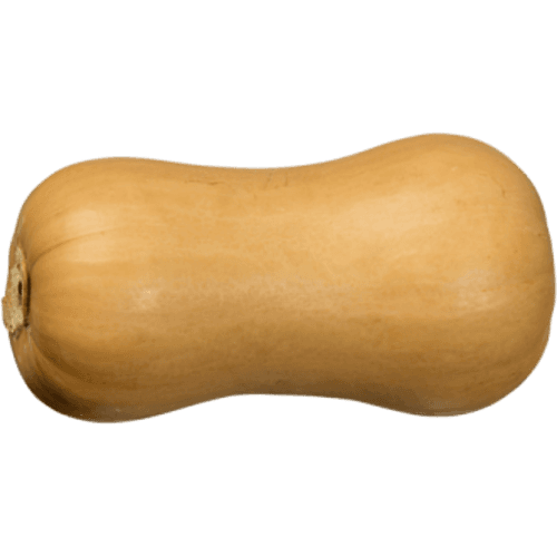 Butternut Pumpkin 1 kg