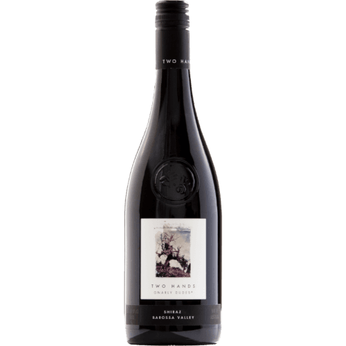 Two Hands Gnarly Dudes Shiraz