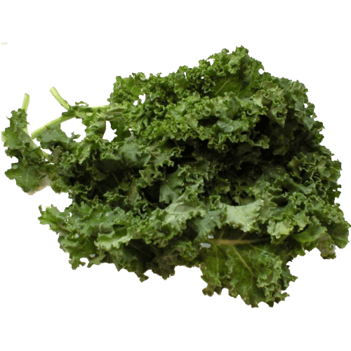 Hydroponic Kale per kg