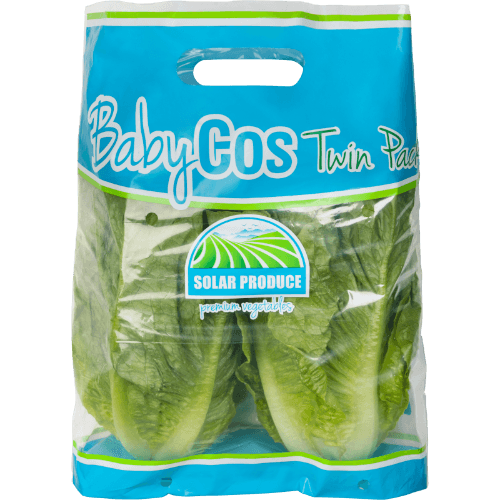 Solar Produce Baby Cos Lettuce Twin Pack