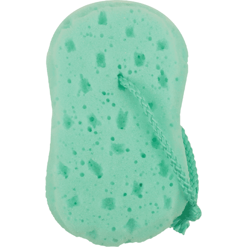 Korbond Bath Sponge