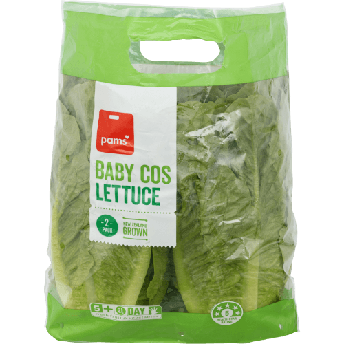 Pams Baby Cos Lettuce