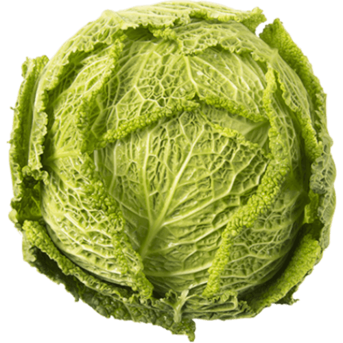 NZ Savoy Cabbage