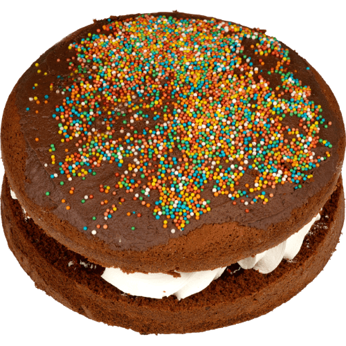 Chocolate Iced Sponge