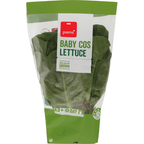 Pams Baby Cos Lettuce