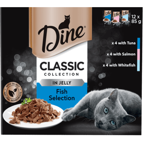 Dine Classic Collection Fish Selection In Jelly Cat Food