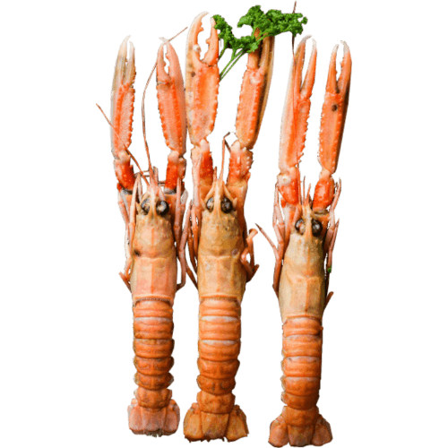 Sea Treasure Seafoods Whole Langoustine 12/15