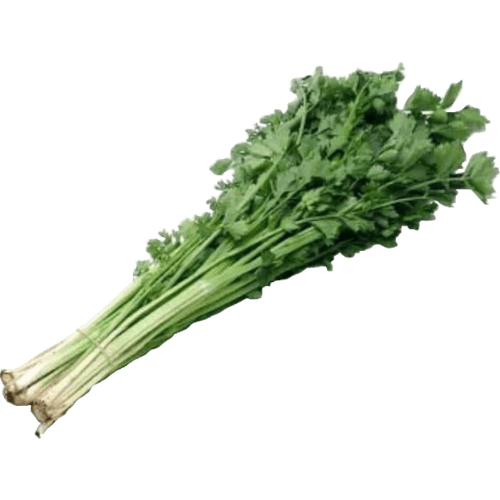Healthy n Fresh Prepacked Chinese Celery 200 g