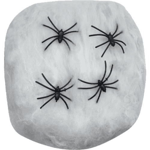 Korbond Web With Spiders