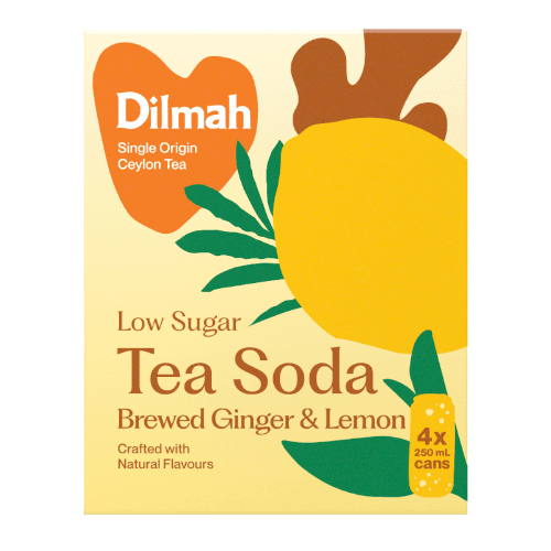 Dilmah Low Sugar Brewed Ginger & Lemon Tea Soda Cans 4 × 250 mL