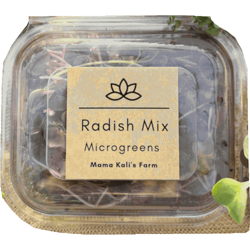 Mama Kali's Farm Radish Mix Microgreen