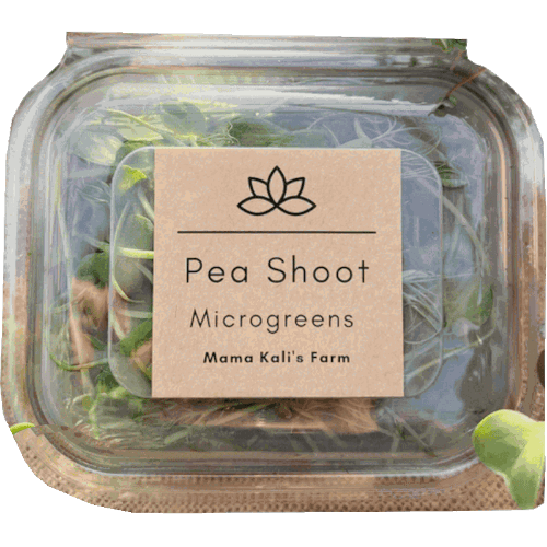 Mama Kali's Farm Pea Shoot Microgreen