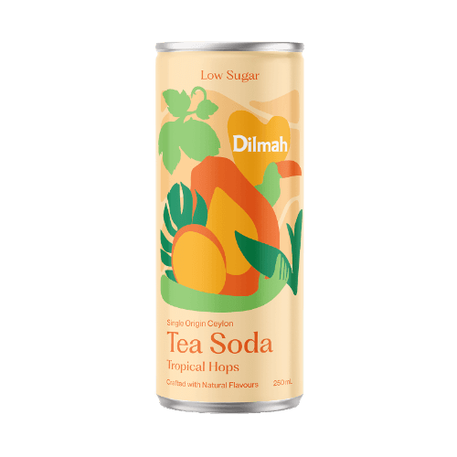 Dilmah Low Sugar Tropical Hops Tea Soda 250 mL