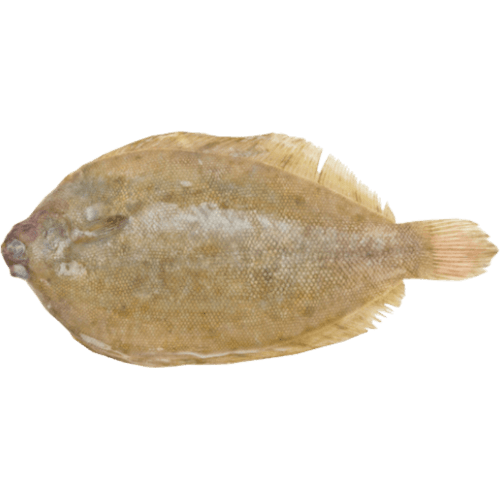 Talley's Lemon Sole Fillets