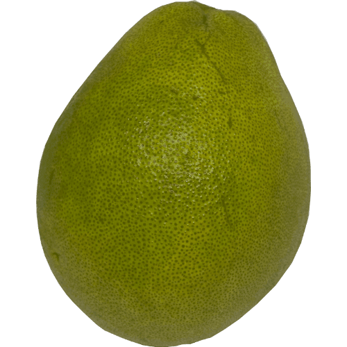 Honey Pomelo Irradiated
