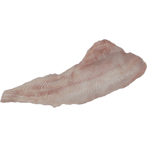 Talley's Fresh NZ Elephant Fish Fillets