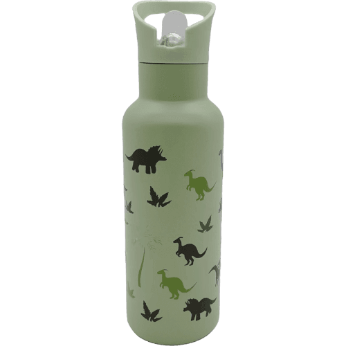 Korbond Chilled Out Stainless Steel Childrens Drink Bottle