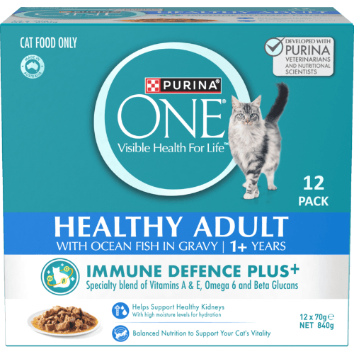 Purina ONE Healthy Adult with Ocean Fish in Gravy Wet Cat Food Pouch
