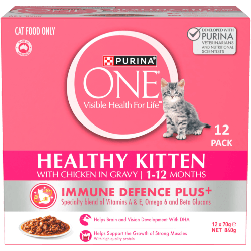 Purina ONE Healthy Kitten with Chicken in Gravy Wet Cat Food Pouch