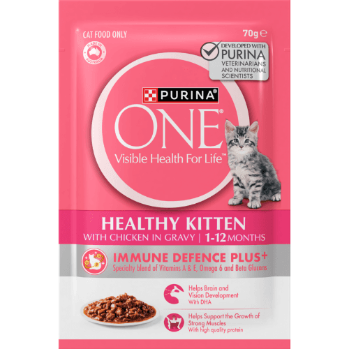 Purina ONE Healthy Kitten With Chicken In Gravy Wet Cat Food