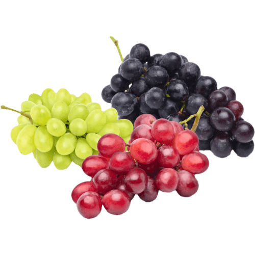 Go Fresh Tri Colour Grapes