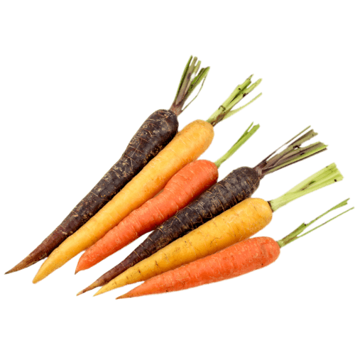 Purefresh Organic Coloured Carrots