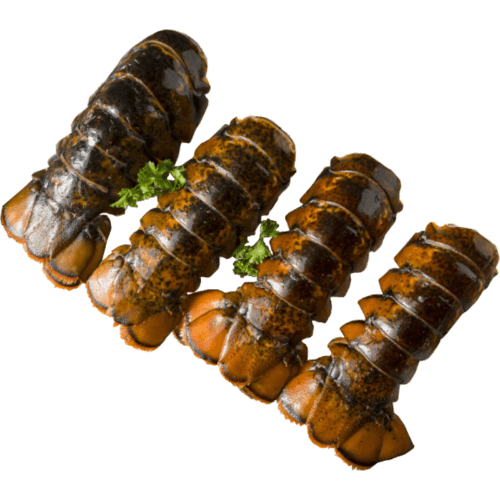 Sea Treasure Seafoods Lobster Tails Raw