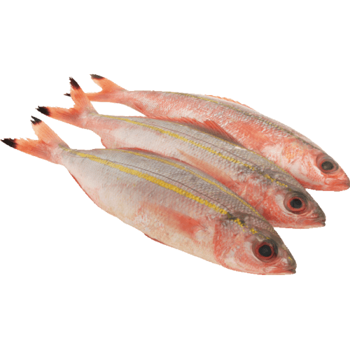 Sea Treasure Seafoods Red Tail Fusilier 6/10