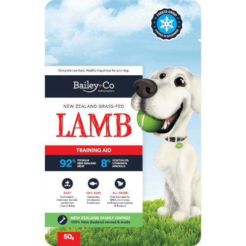 Bailey+Co Lamb Training Aid For Dogs