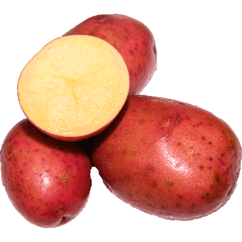 Crop55 Red Potatoes 2.5 kg